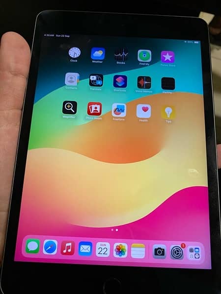 ipad mini 5 256 gb 2