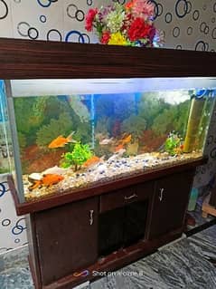 Fish Aquarium Complete Setup Read Description 0