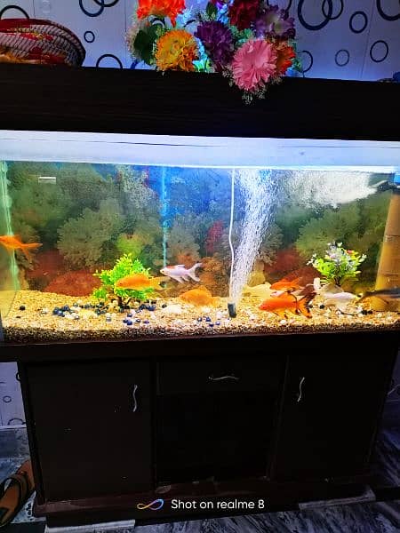 Fish Aquarium Complete Setup Read Description 3