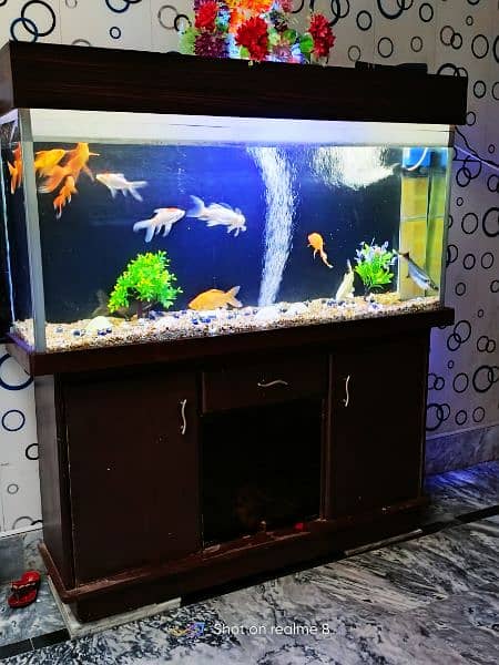 Fish Aquarium Complete Setup Read Description 4