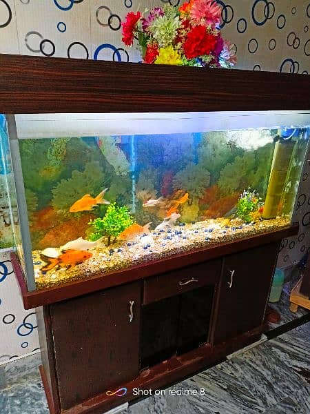 Fish Aquarium Complete Setup Read Description 8