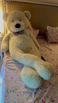 Gaint size teddy bear