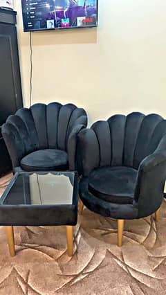 cofe chairs 12 year warranty foam velvet kapra