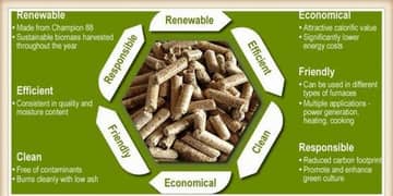 wood fuel pellet