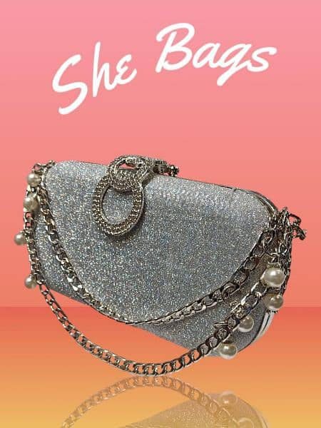 Women's Handbag | Silver Metal 0