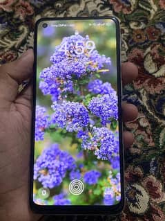 oppo f21pro