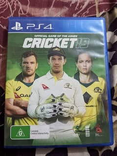 Cricket 19