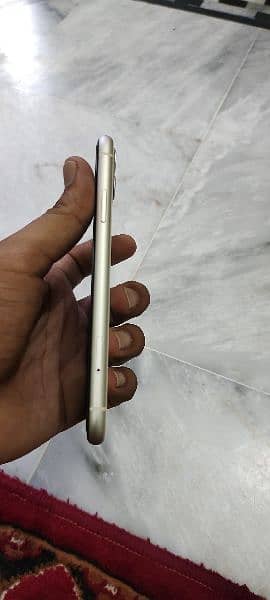 Iphone 11 White Color 64GB 3