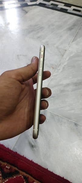 Iphone 11 White Color 64GB 4