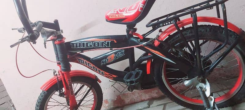 Trigon Bicycle 3