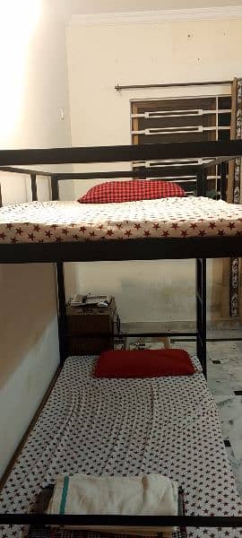 modern bunk bed light weight 10/10 condition 2