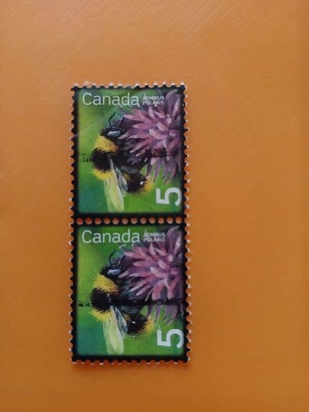 Stamps Collection. 3