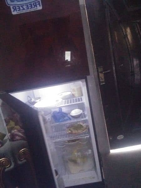 pel fridge urgent for sale 3