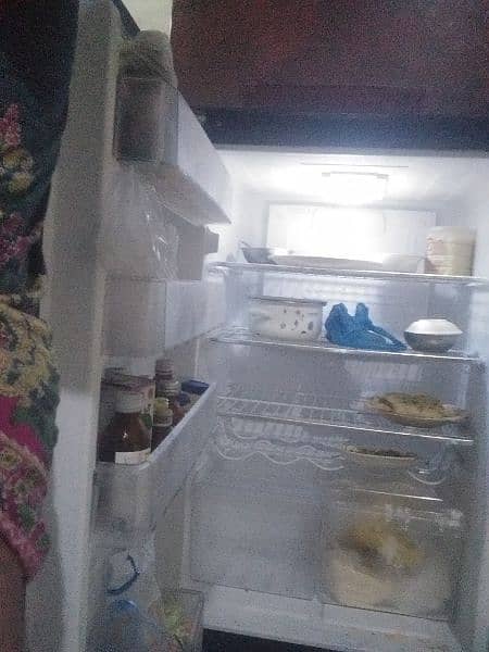 pel fridge urgent for sale 6