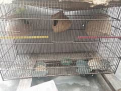 birds cage heavy iron