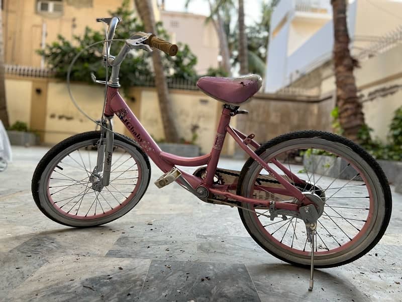 Girls Bicycle for ages 5-9 yrs (Pink) 2