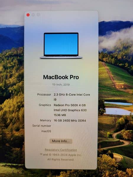 Macbook pro 2019 15.6" inch core i9 and 4gb Amd Radeon card 3