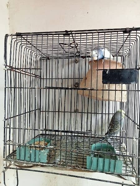 cage or pair 1200 2