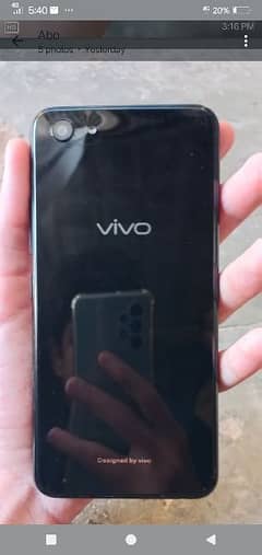 vivo