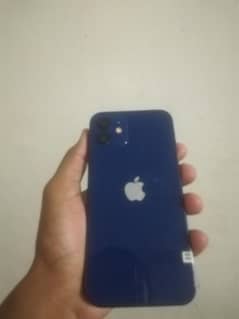 apple iphone 12 0