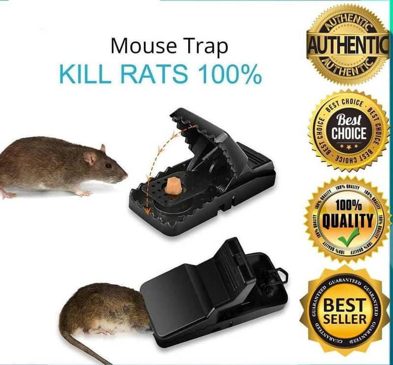 Mouse Trap, Pack Of 2 1