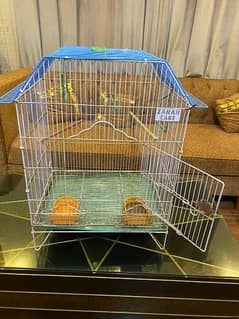 Cage for Birds