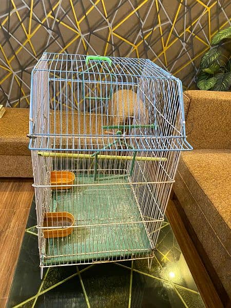 Cage for Birds 3