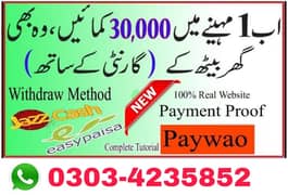 Online job in Pakistan, Female Staff required For Online Work