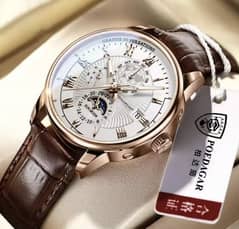 POEDAGAR Casual Men Watch