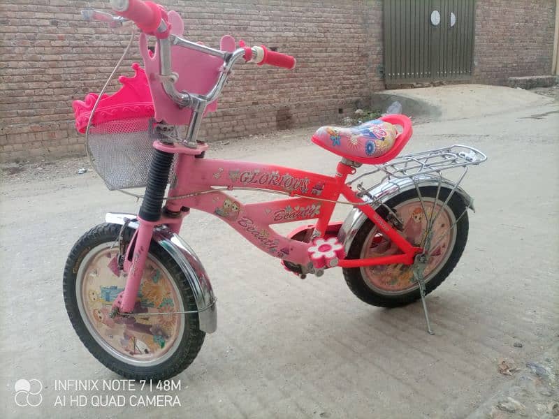 Barbie Cycle (Final Price) 2