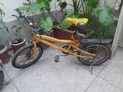 imported bicycle