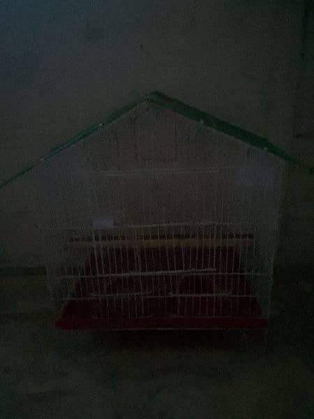 BIRD CAGE 0