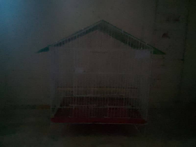 BIRD CAGE 1