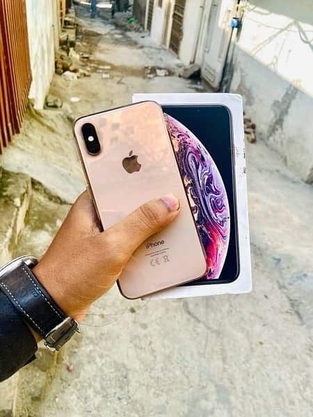 iPhone XS with box Lush condition 0