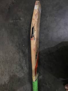 Puma bat