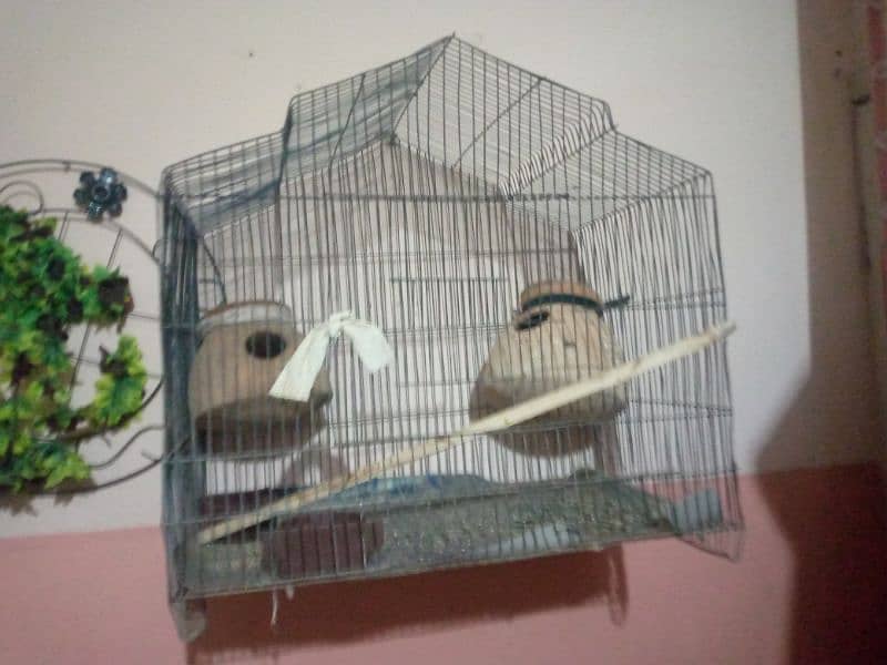 Birds cage 2