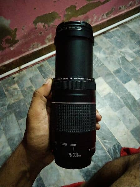 canono 75-300 lence 2