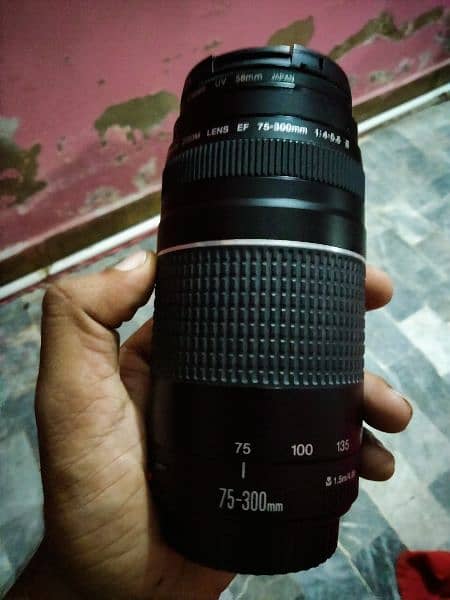 canono 75-300 lence 3