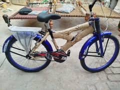 Brand New Bicycle 14 plus children