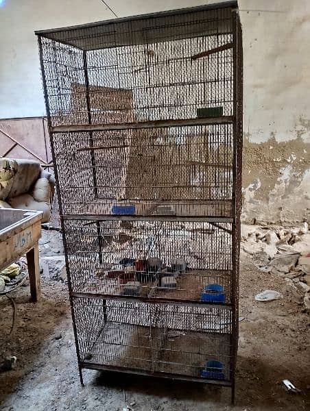 cages / pingra for sell urgent basis. 1