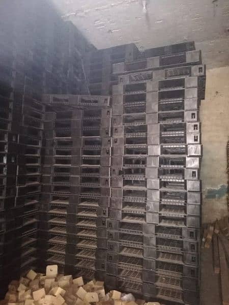 wooden and plastic pallets 6