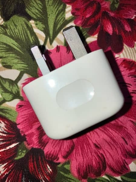 iPhone 20 watt charger 1