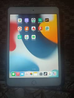 ipad Mini 4