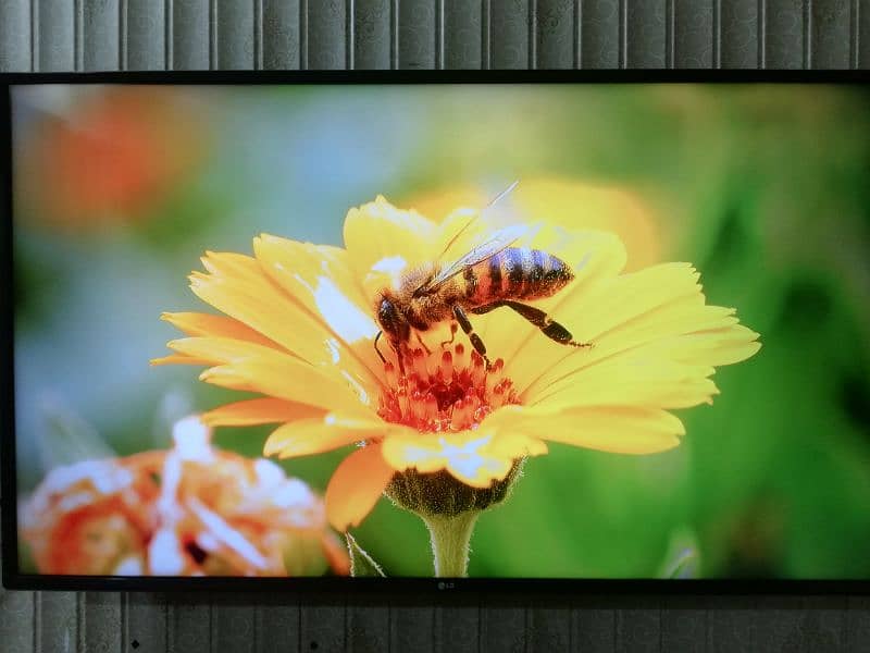 original LG 4k LED 49 inches 6