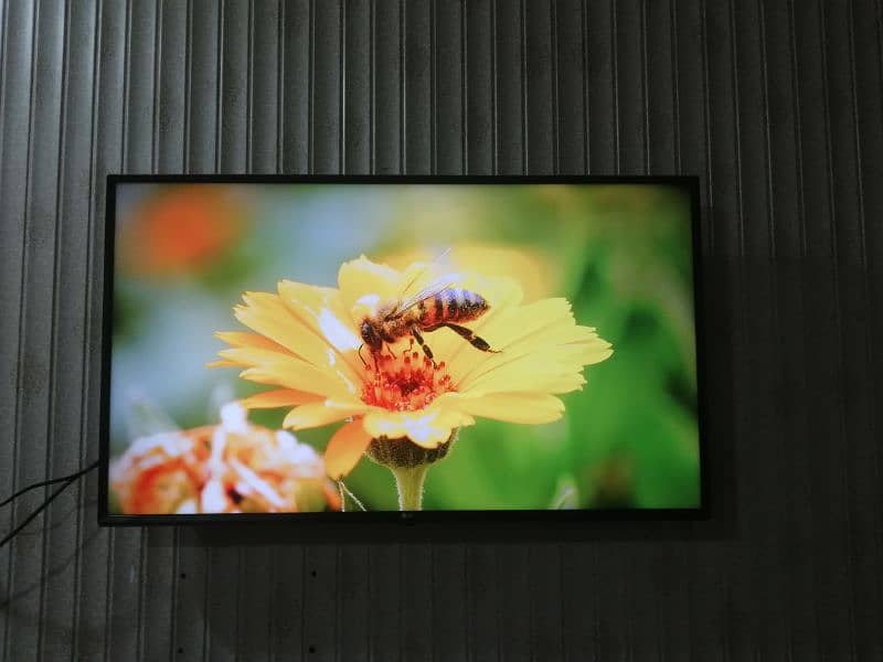 original LG 4k LED 49 inches 7