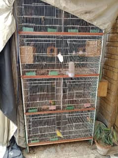 Cage and Birds for sale