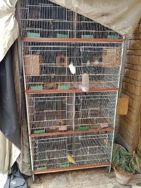 Cage and Birds for sale 0