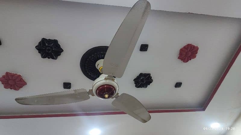 Royal Deluxe Fancy Ceiling Fan 56" Brand New Condition 1