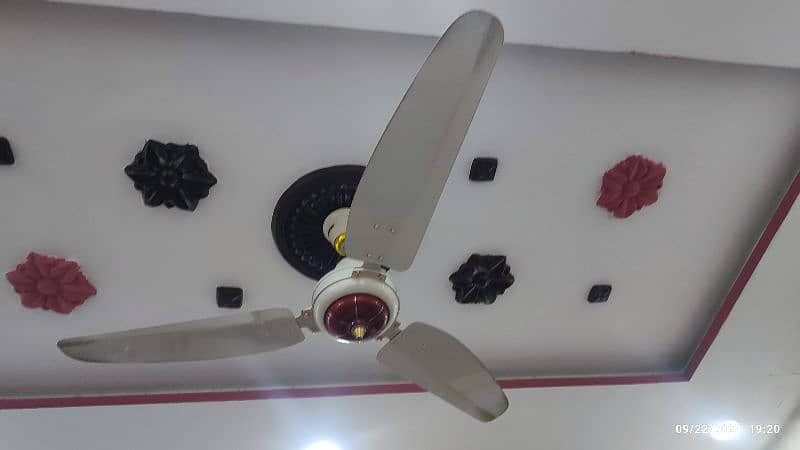 Royal Deluxe Fancy Ceiling Fan 56" Brand New Condition 2