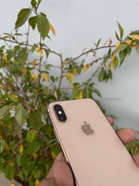 Apple Iphone XS 256GB Pta Approve Dual Sim 10